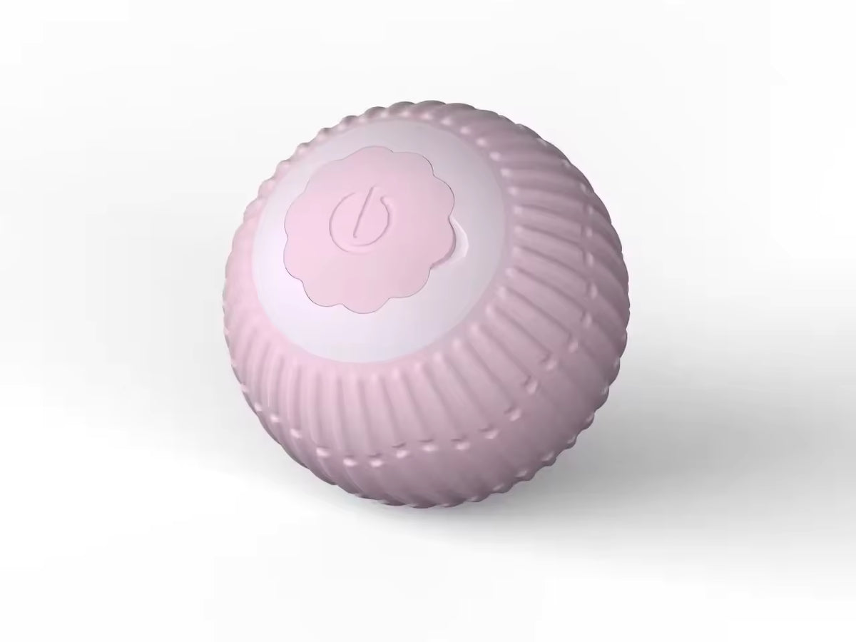 ActivePaws™ -  Kattenbal